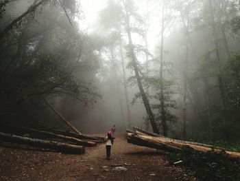 Rear view of woman walking on landscape in foggy weather