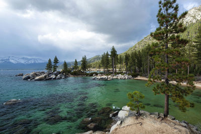 Scenic view of sea against sky