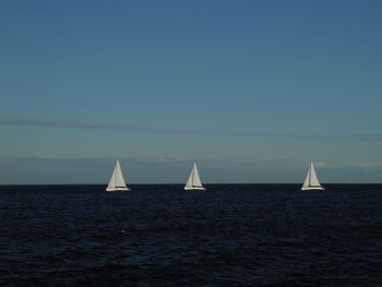 Sailboat sailing in sea against clear blue sky