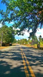 Empty road along trees