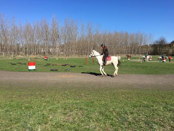 Teenage girl riding horse on field