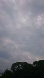 Low angle view of silhouette trees against sky
