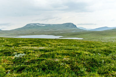 Scenic view of green landscape and mountains against sky