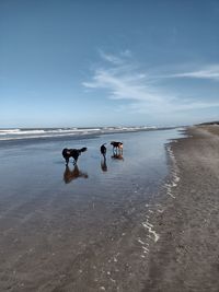 water