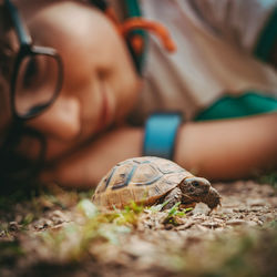 Close-up of blurred motion of shell on land