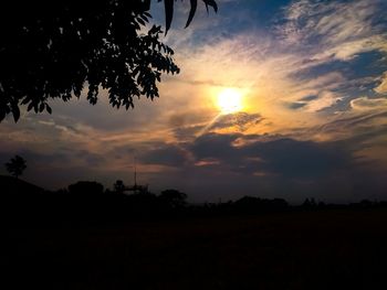 Silhouette trees on field against sky at sunset