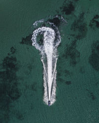 View of dead bird flying over sea