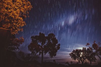 Low angle view of trees against star trail at night