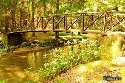 Footbridge over river