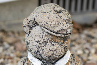Close-up of statue against rock
