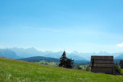 Scenic view of field against clear blue sky
