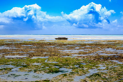 Scenic view of sea against sky during winter