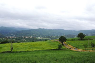 Scenic view of grassy field against cloudy sky