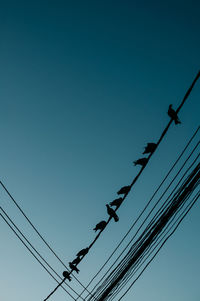 Low angle view of birds perching on cables against blue sky