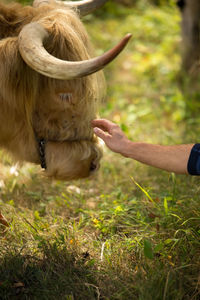 Human hand on field