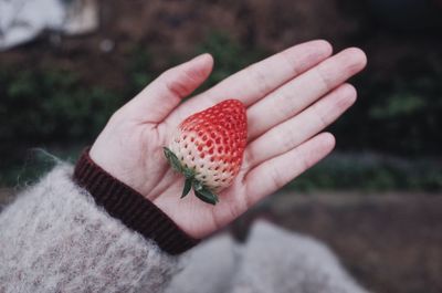 Close-up of hand holding strawberry