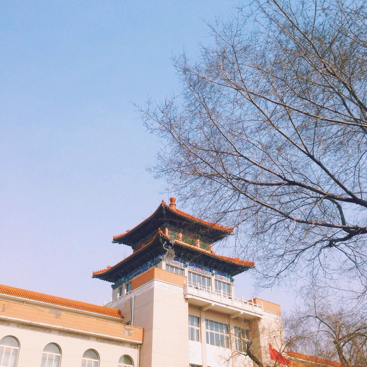 architecture, building exterior, built structure, low angle view, clear sky, place of worship, religion, history, tree, sky, spirituality, high section, copy space, outdoors, statue, travel destinations, day, famous place, city, sculpture