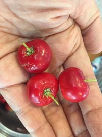 Close-up of hand holding strawberries