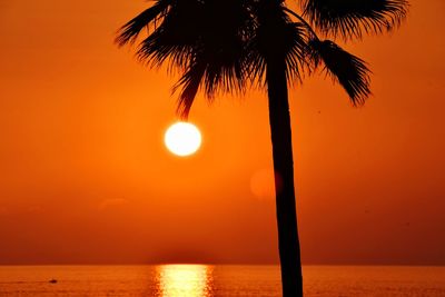 Silhouette palm tree by sea against romantic sky at sunset