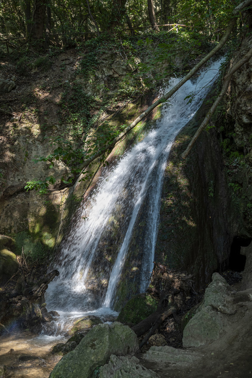 beauty in nature, water, waterfall, forest, scenics - nature, tree, body of water, land, plant, nature, motion, flowing water, rock, long exposure, environment, stream, watercourse, water feature, no people, non-urban scene, flowing, blurred motion, outdoors, growth, day, river, tranquility, rainforest, moss, tranquil scene, idyllic, power in nature, landscape, green, autumn, wilderness, travel destinations, creek, state park, rock formation