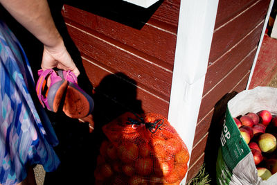 Cropped image of woman holding sandals by apples in back yard