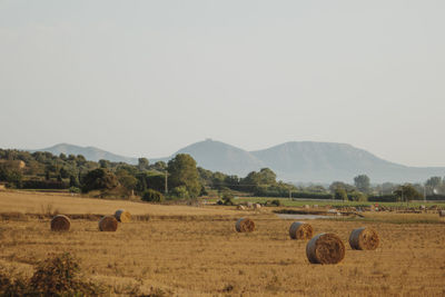 Hay bales on field against sky