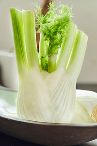 Close-up of vegetables in bowl