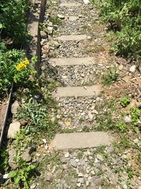 High angle view of stone wall by footpath