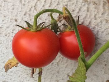 Close-up of red chili peppers