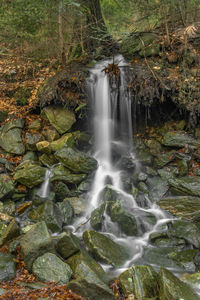 Scenic view of waterfall in forest