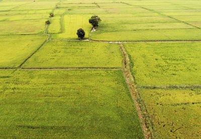 High angle view of man working on field