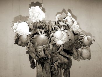 Close-up of wilted flowers