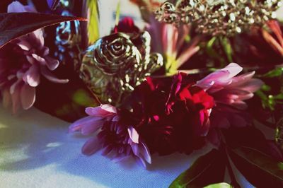 Close-up of bumblebee on flowers