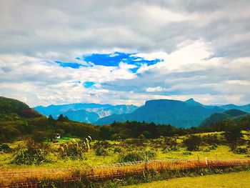 Scenic view of field against sky