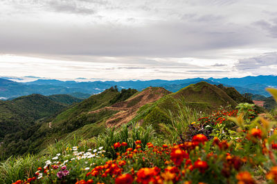 Scenic view of mountains against sky