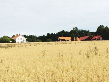 Houses on field against clear sky