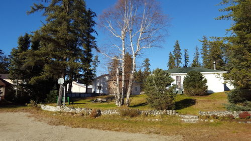 Trees by built structure against sky