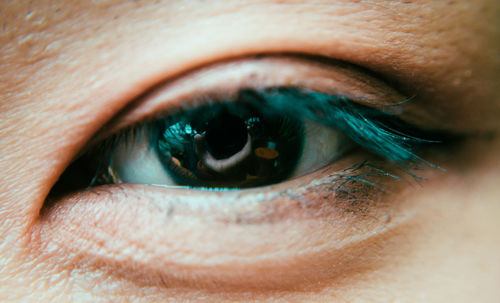 Close-up portrait of human eye