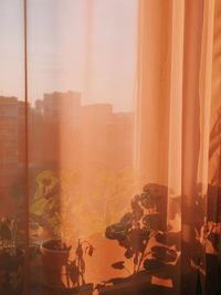 Close-up of curtain against window at home