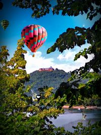 Hot air balloons flying by trees against sky