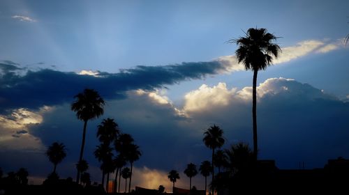 Low angle view of silhouette palm trees against sky during sunset