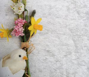 Close-up of a bird on white flower