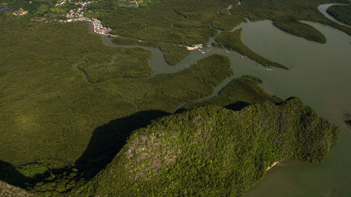 High angle view of leaf on beach