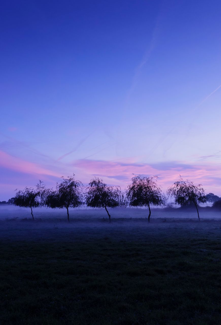 sky, beauty in nature, tree, environment, scenics - nature, plant, tranquil scene, land, field, landscape, nature, tranquility, non-urban scene, sunset, cloud - sky, no people, idyllic, copy space, winter, outdoors, purple