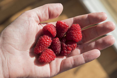 Cropped image of hand holding raspberries
