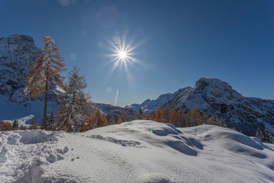 Mount pelmo and autumn colored larch that comes out behind a snowdrift