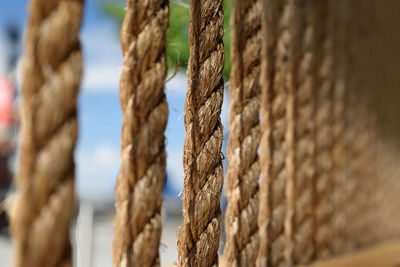 Close-up of rope