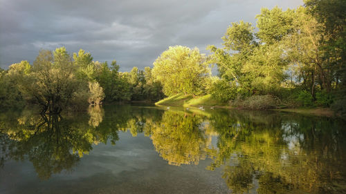 Reflection of trees in lake against sky