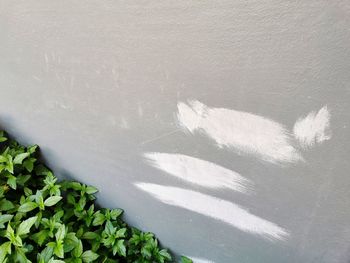 High angle view of shadow on wall