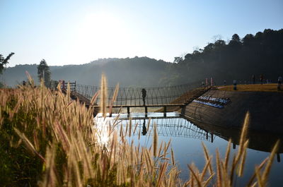 Footbridge over lake against forest